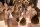 Smoky Quartz Natural Points, Sawn Base, per Kilo
