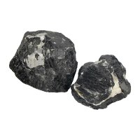 Schwarzer Turmalin mit Quarz