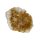 Citrindruse 2,60 KG