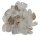 Trommelsteine Phantomquarz klein, 1 kg