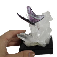 Schmetterling Regenbogen Fluorit auf Bergkristallgruppe