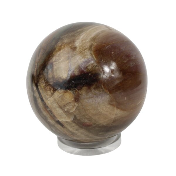 Kugel versteinertes Holz, 8 cm