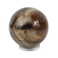Kugel versteinertes Holz, 8 cm