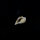 Spiralite Gemshell ( Edelsteinmuschel)
