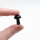 Pilz Obsidian schwarz