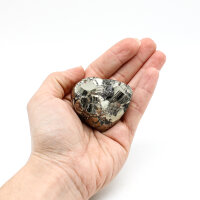 Herz Pyrit, Größe 2