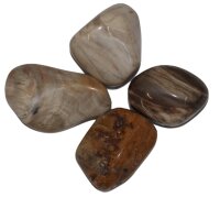 Trommelsteine versteinertes Holz, 1 KG