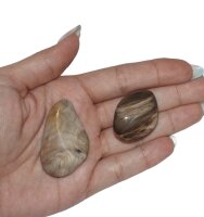 Trommelsteine versteinertes Holz, 1 KG