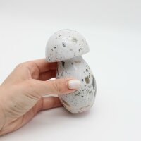 Pilz Ozean Jaspis, Größe 2