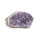 Amethyst Druse, Größe 4
