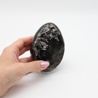 Septarie schwarz Eiform, Größe 2