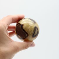 Kugel Septarie, Größe 3