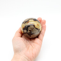 Kugel Septarie, Größe 5