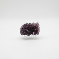 Amethyst Drusen, Qualität I bis extra,...