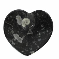 Schale Ammoniten Herzform