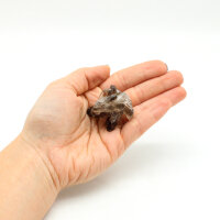 Rauchquarz Gruppen klein per Kilo