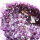 Amethyst Geode 64,4 KG