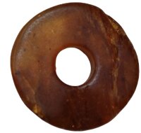 Donut Bernstein