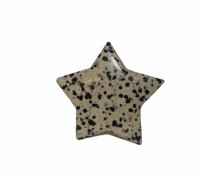 Stern Dalmatiner Jaspis gebohrt zum aufhängen